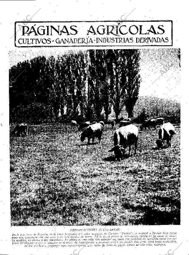 ABC SEVILLA 25-06-1932 página 11