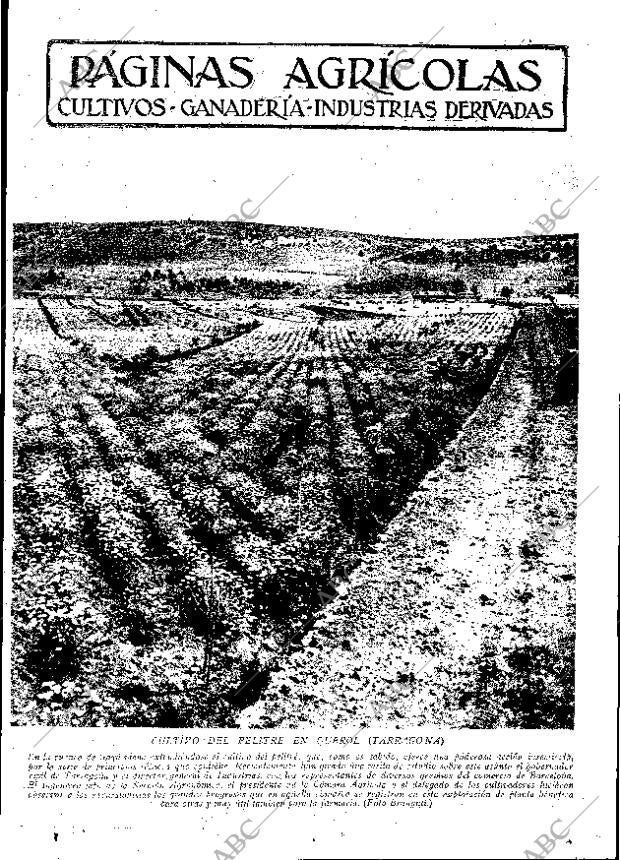 ABC MADRID 01-07-1932 página 11