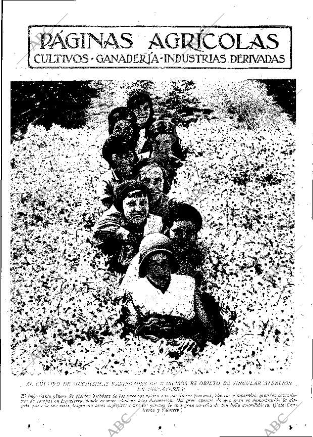 ABC MADRID 22-07-1932 página 11