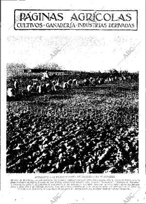 ABC MADRID 29-07-1932 página 11