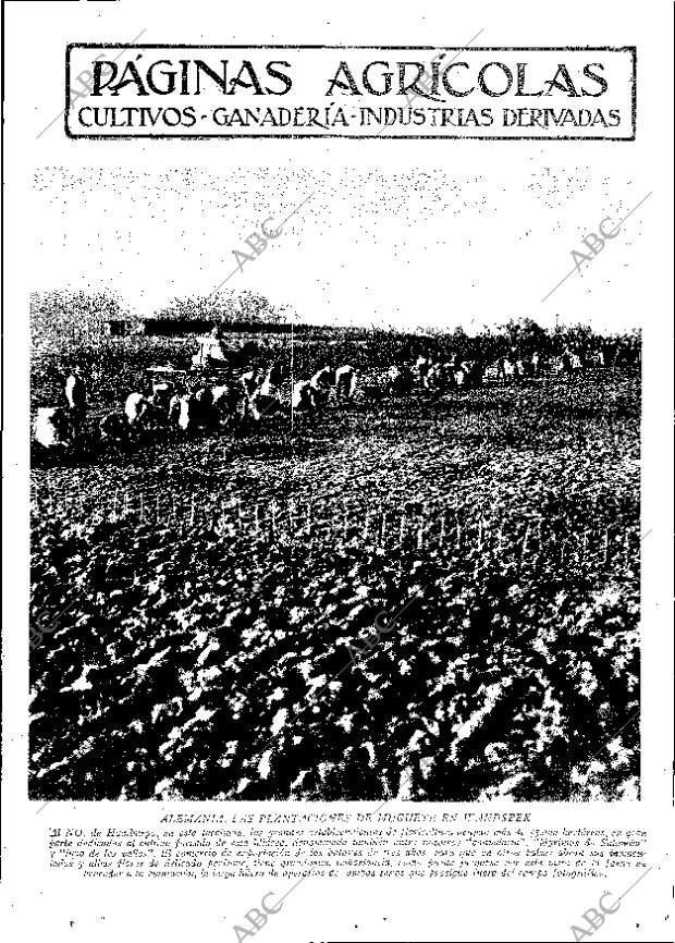 ABC MADRID 29-07-1932 página 11