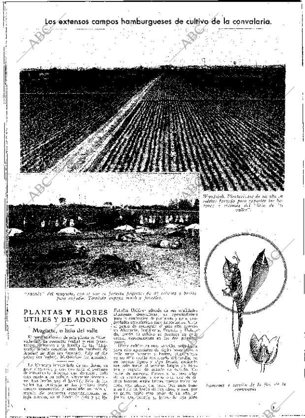 ABC MADRID 29-07-1932 página 12