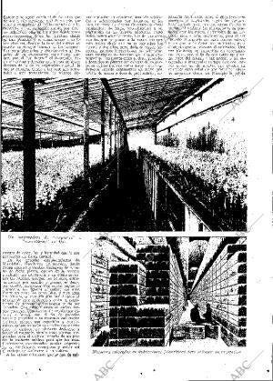 ABC MADRID 29-07-1932 página 13