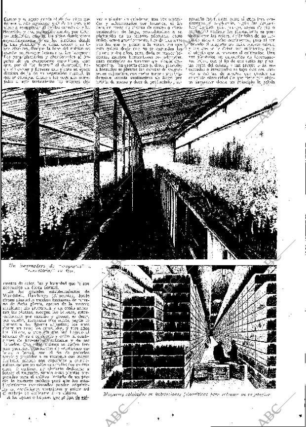 ABC MADRID 29-07-1932 página 13