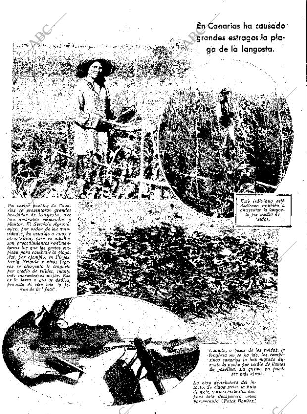 ABC SEVILLA 01-12-1932 página 17