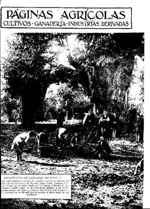 ABC MADRID 10-12-1932 página 11