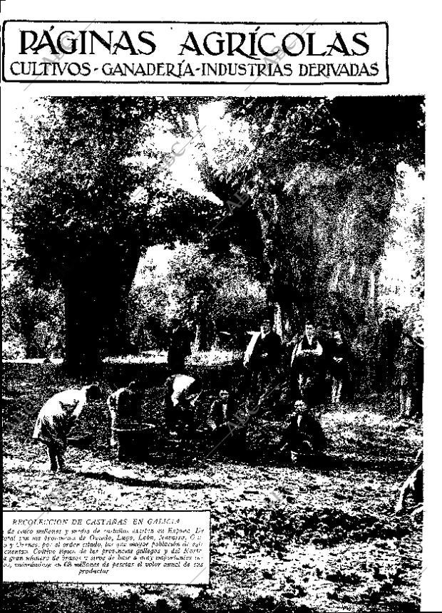 ABC MADRID 10-12-1932 página 11