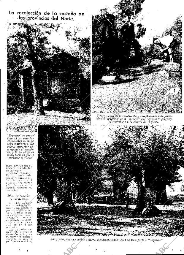 ABC MADRID 10-12-1932 página 13