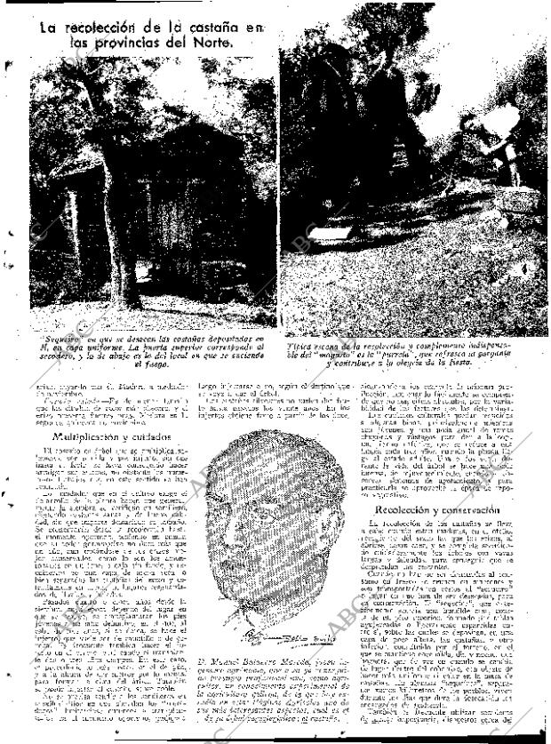 ABC SEVILLA 13-12-1932 página 13
