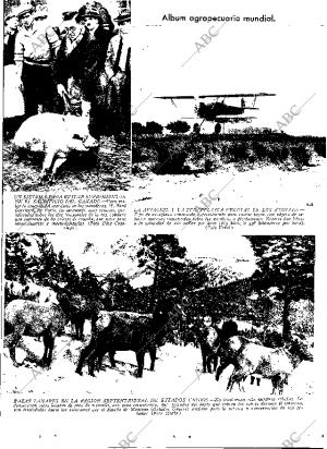 ABC MADRID 06-01-1933 página 13