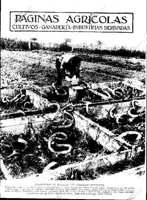 ABC SEVILLA 07-01-1933 página 11