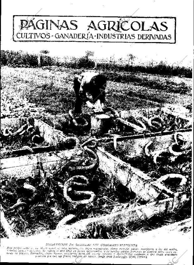 ABC SEVILLA 07-01-1933 página 11