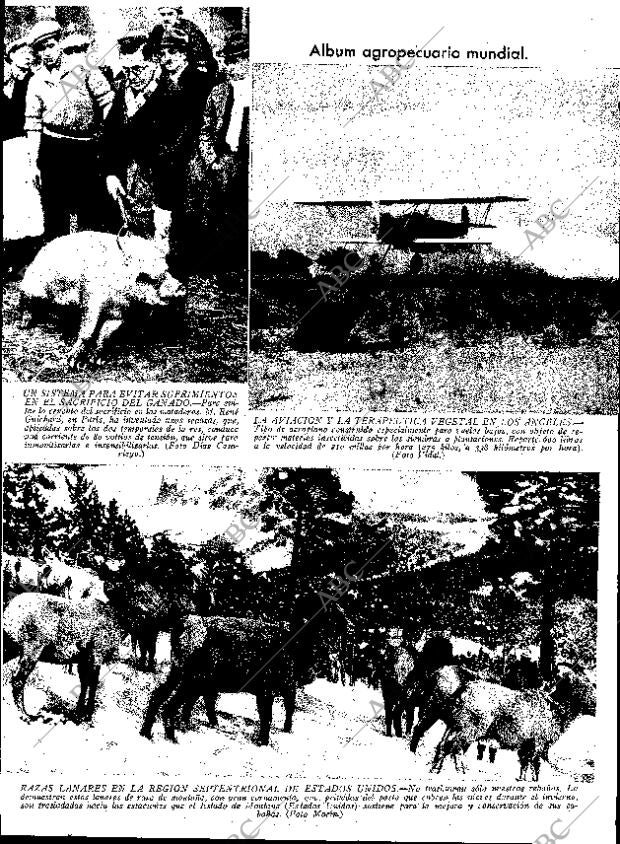 ABC SEVILLA 07-01-1933 página 13