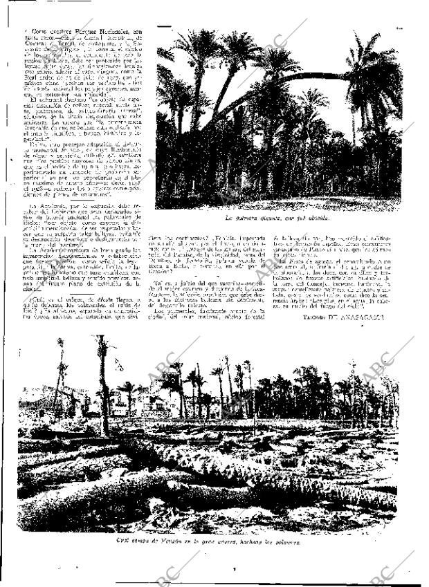 ABC MADRID 19-01-1933 página 9