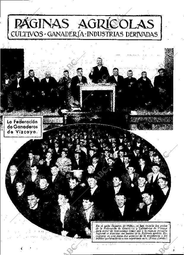 ABC MADRID 27-01-1933 página 11
