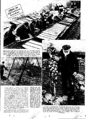 ABC MADRID 27-01-1933 página 13