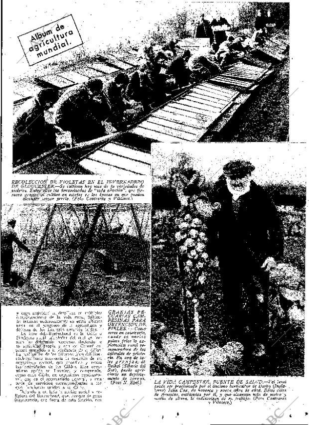 ABC MADRID 27-01-1933 página 13