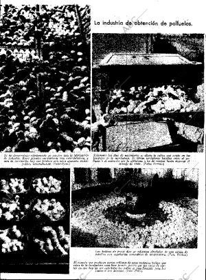 ABC SEVILLA 18-02-1933 página 13