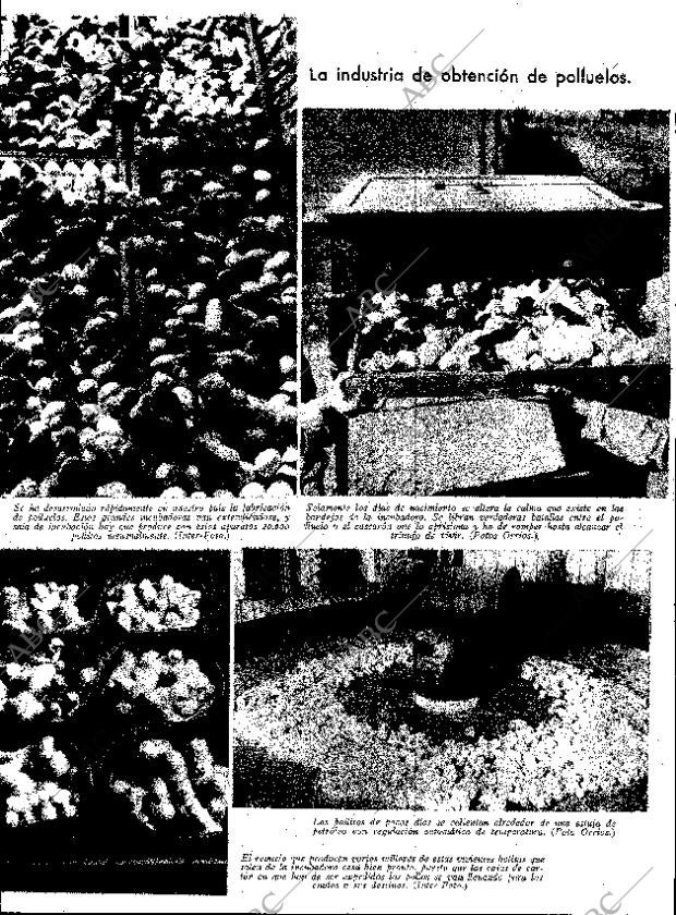 ABC SEVILLA 18-02-1933 página 13