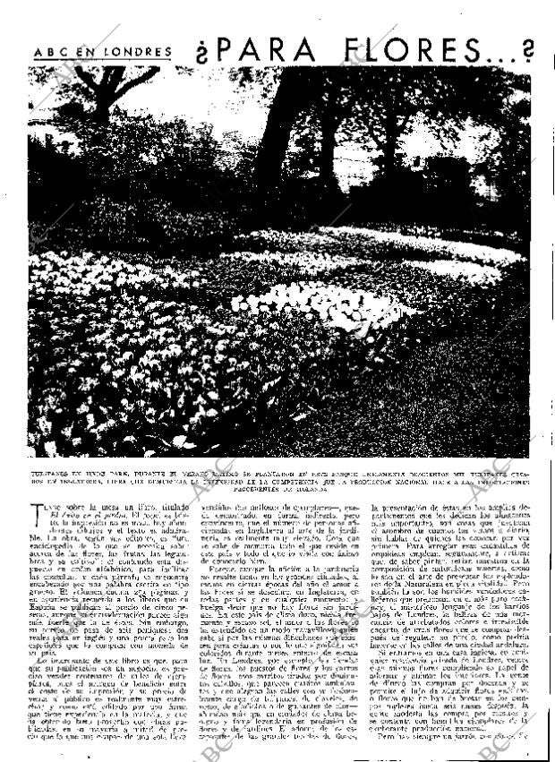 ABC SEVILLA 19-02-1933 página 13