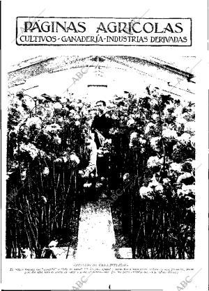 ABC MADRID 24-02-1933 página 11
