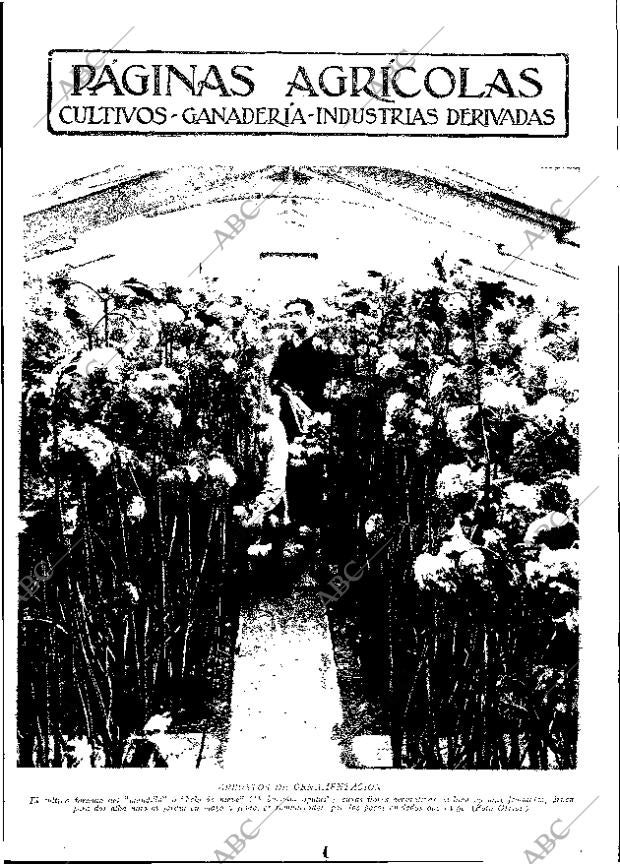 ABC MADRID 24-02-1933 página 11
