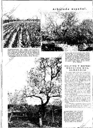 ABC MADRID 24-02-1933 página 12