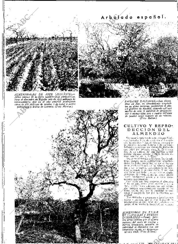 ABC MADRID 24-02-1933 página 12
