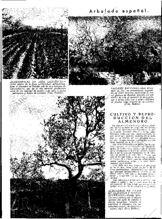 ABC SEVILLA 25-02-1933 página 12