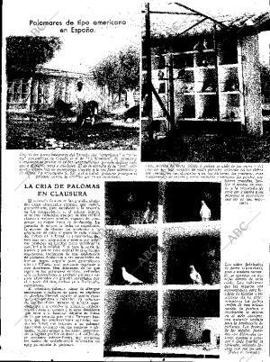 ABC SEVILLA 04-03-1933 página 13