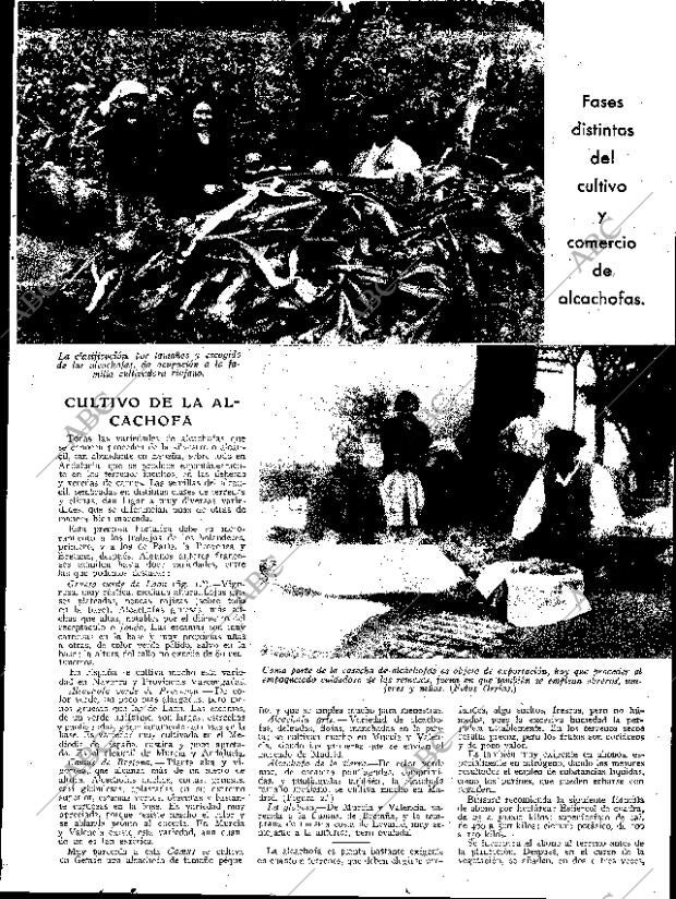 ABC SEVILLA 11-03-1933 página 11