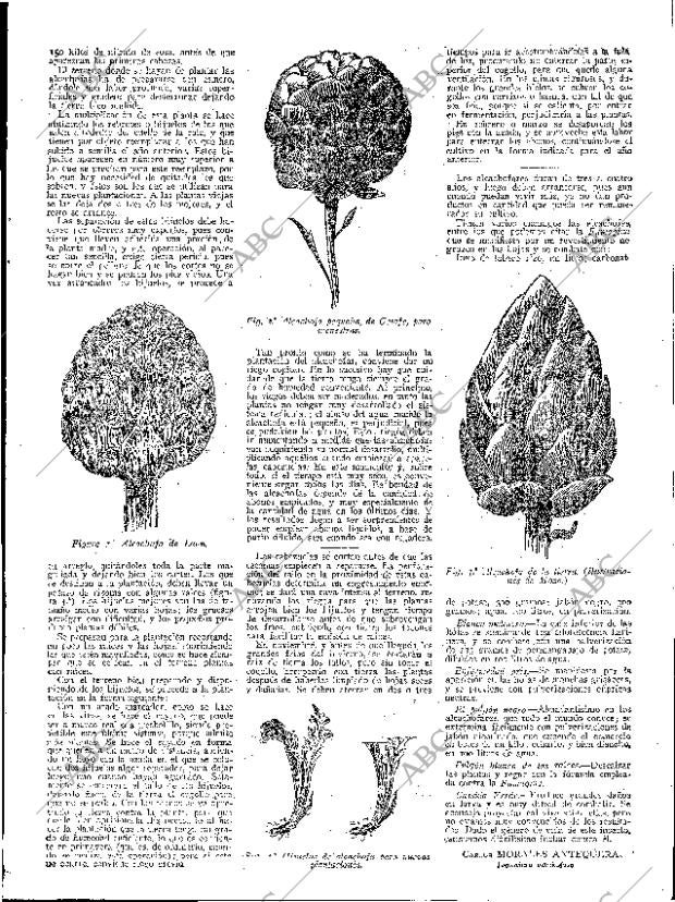 ABC SEVILLA 11-03-1933 página 13