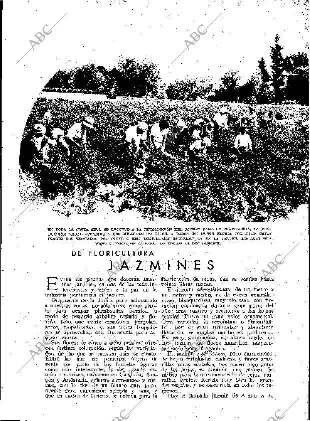 BLANCO Y NEGRO MADRID 19-03-1933 página 157