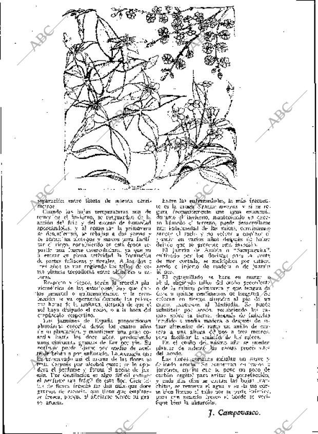 BLANCO Y NEGRO MADRID 19-03-1933 página 160