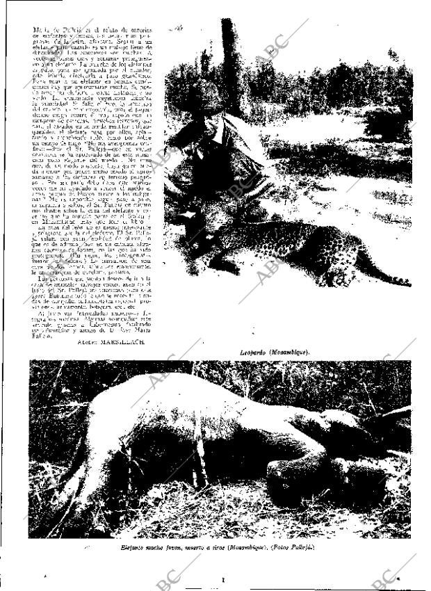 ABC MADRID 22-03-1933 página 7
