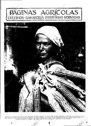 ABC MADRID 31-03-1933 página 11