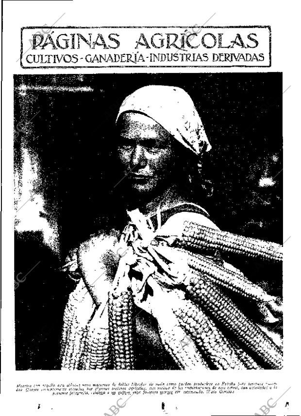 ABC MADRID 31-03-1933 página 11