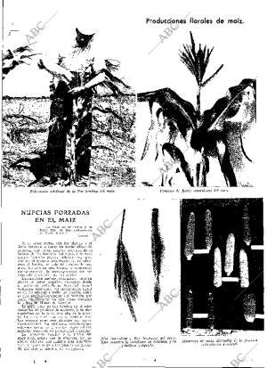 ABC MADRID 31-03-1933 página 13