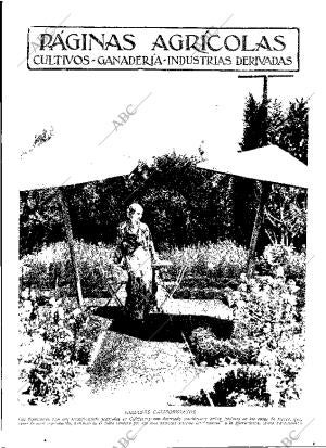 ABC MADRID 05-05-1933 página 11