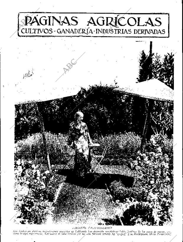 ABC SEVILLA 06-05-1933 página 11