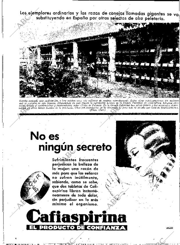 ABC MADRID 19-05-1933 página 12