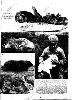 ABC MADRID 19-05-1933 página 13