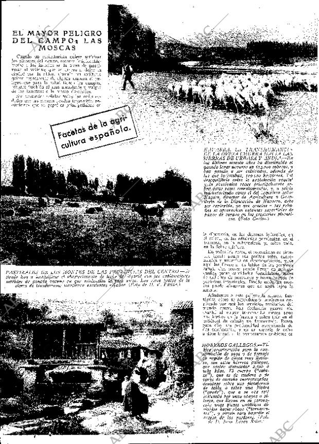 ABC MADRID 02-06-1933 página 13