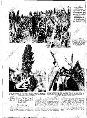 ABC MADRID 09-06-1933 página 12