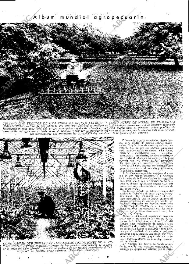 ABC MADRID 09-06-1933 página 13