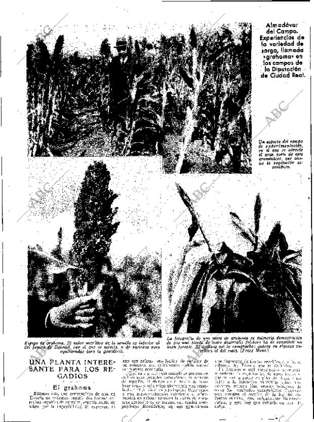 ABC SEVILLA 10-06-1933 página 12