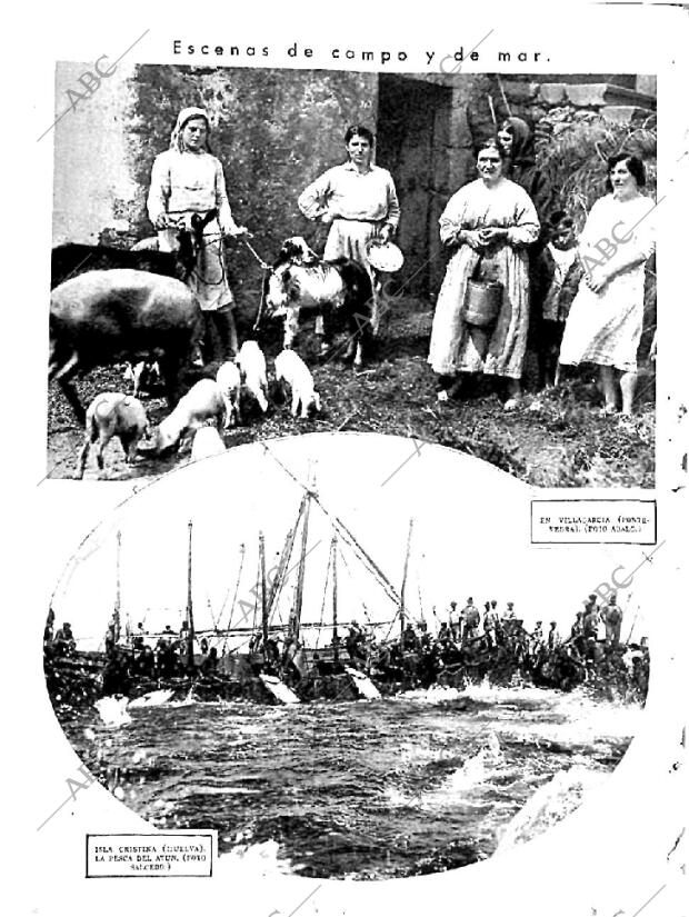 ABC MADRID 11-06-1933 página 2