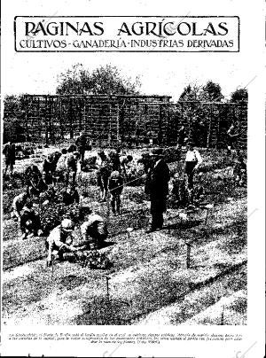 ABC SEVILLA 17-06-1933 página 11