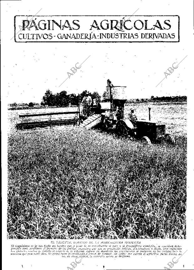 ABC MADRID 23-06-1933 página 11