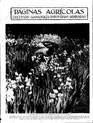 ABC SEVILLA 01-07-1933 página 11